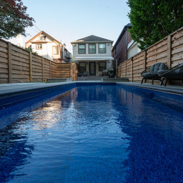 Modern Rectangular Swimming Pool & Backyard Renovation