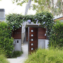 Garden Ideas