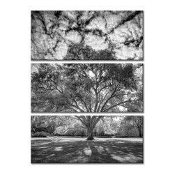 Triptych Wall Art - Products