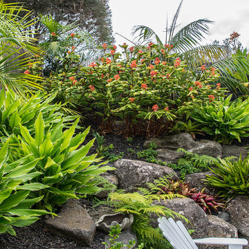 Hawaiian Landscape