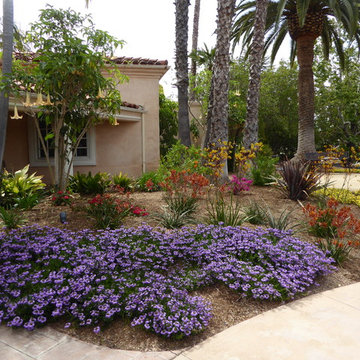Lawn conversion in Fairbanks Ranch