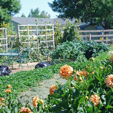 gardening
