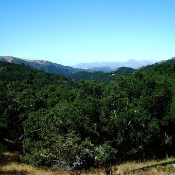 Santa Lucia Preserve Spec House