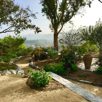 Camarillo mini-arboretum