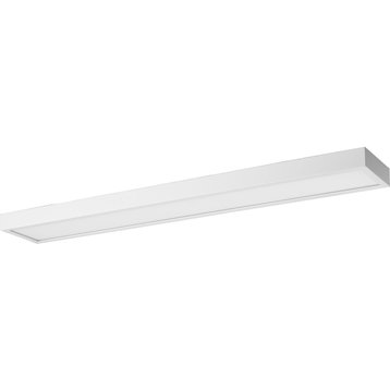 Everlume 1-Light Satin White Frosted Glass LED Modern Vanity Linear Panel Light