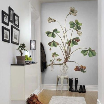 Funky Designs