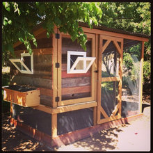 Chicken Coop