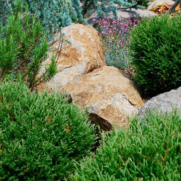 Belmont Patio Home Garden