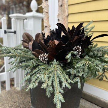 Containers, Pots, Planters & Displays