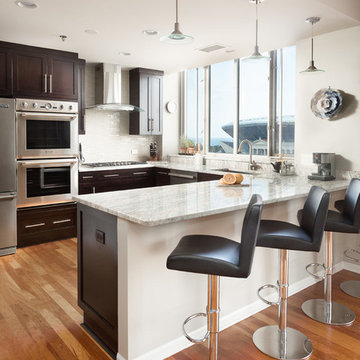 South Loop Kitchen Remodeling