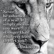 William Wiley's photo