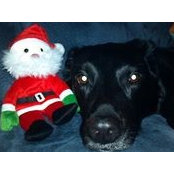 Mike Caryl's photo