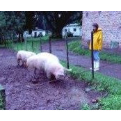 Gemma Ryan's photo