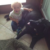 Susan Pretzer-Surleta's photo