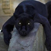 Nakia Haydel's photo