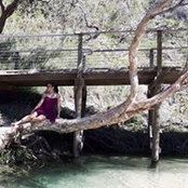 Julie Guindon's photo