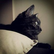 Foto von Deborah Cavrini