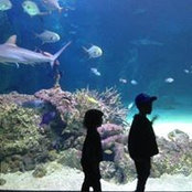 Danny Basseal's photo