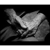 Jessica Smith Wheeler's photo