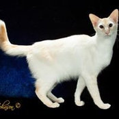 Virginia Torsch's photo