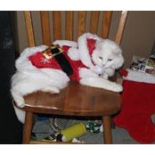 Kimberly Wolter's photo