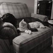 Foto di Derek Eggleton