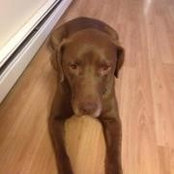 Nader Mikhail's photo