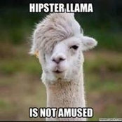 Ariana Denney Granillo's photo