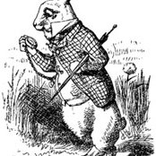 zewhiterabbits foto