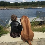 Malja Jabls foto