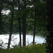Terri Bresolin's photo