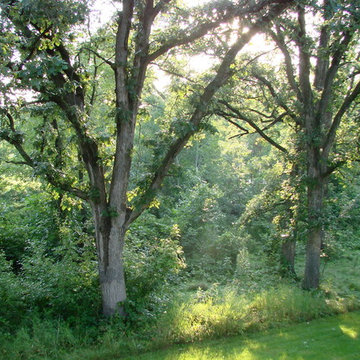 Country Casual Gardens
