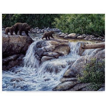 Jeff Tift 'Entiat Falls Grizzly Family' Canvas Art, 24"x18"