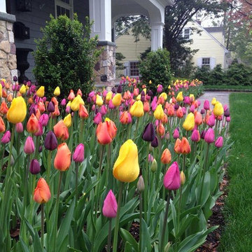 In Bloom