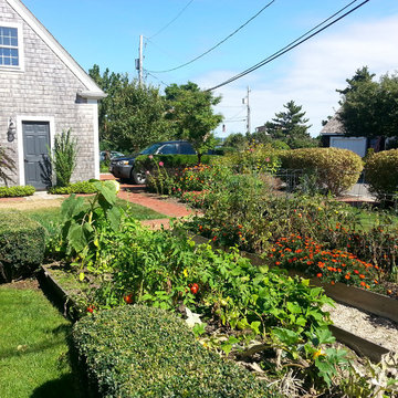 Vegetable gardens