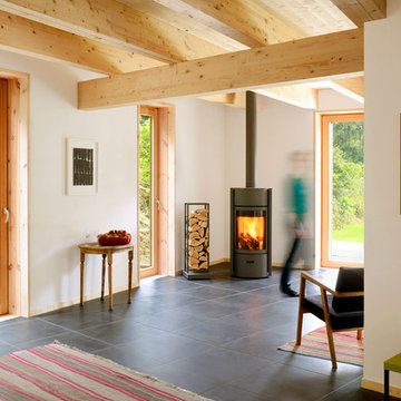 STUV: Wood Stoves