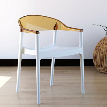 Clear Lucite Acrylic Dining Chairs