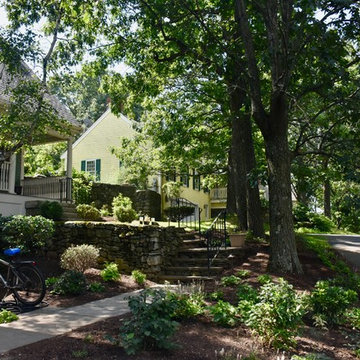 Belmont Landscape Revamp