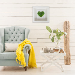 Moss & Live Art Collection - Prints And Posters