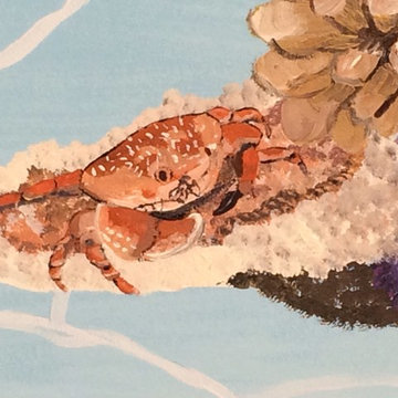 Closeup of coral hiding crab in Stingray Mural.