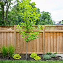 Fences
