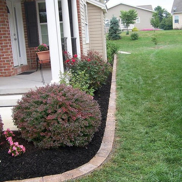 Our Work