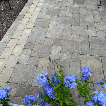 Action Landscaping Projects