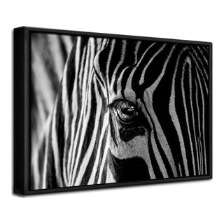 Sylvie Baby Tiger Color Illustration Framed Canvas by Simon TE of Tai Prints 18x24 Indigo Safari Frame Color: Natural