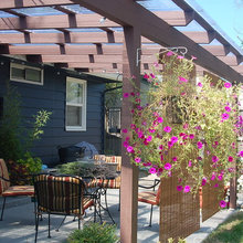 Yard - Patio - Cover