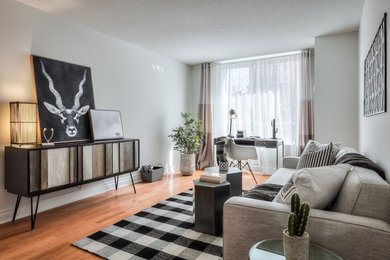 Mid-century modern living room photo in Toronto
