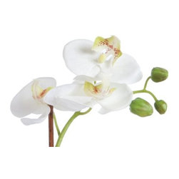 Room Decor - Products