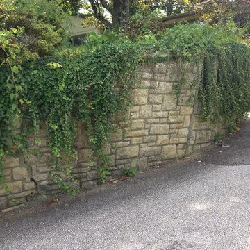 Retaining wall before