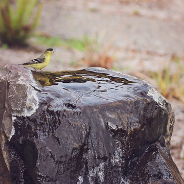 Natural Water Feature
