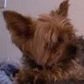 Lauren Tingco's photo